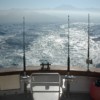 Enjoy a Relaxing Weekend in a Fishing Boat Rental
